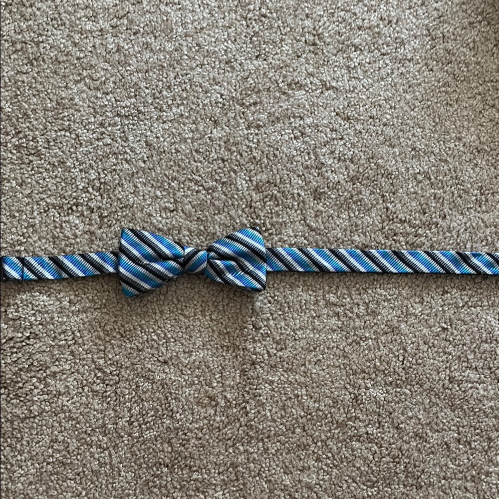 Striped Blue and Black Bow Tie